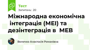 Міжнародна економічна  інтеграція (МЕІ) та дезінтеграція в  МЕВ