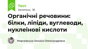 Органічні речовини: білки, ліпіди, вуглеводи, нуклеїнові кислоти