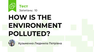 HOW IS THE ENVIRONMENT POLLUTED?