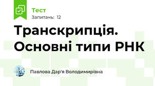 Транскрипція. Основні типи РНК