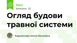 Огляд будови травної системи
