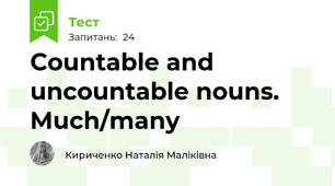 Countable and uncountable nouns. Much/many