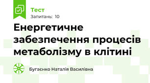 Енергетичне забезпечення процесів метаболізму в клітині 