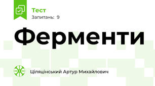 Ферменти