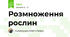 Розмноження рослин