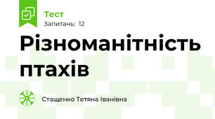 Різноманітність птахів