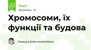 Хромосоми, їх функції та будова