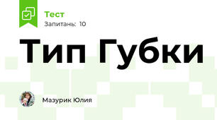  Тип Губки