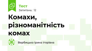 Комахи, різноманітність комах