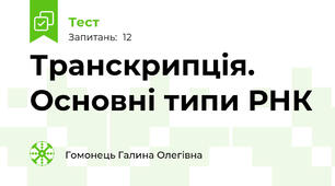 Транскрипція. Основні типи РНК