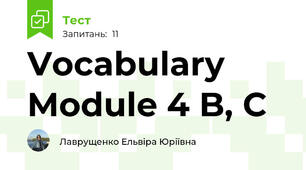 Vocabulary Module 4 B, C