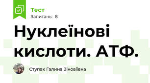 Нуклеїнові кислоти. АТФ.