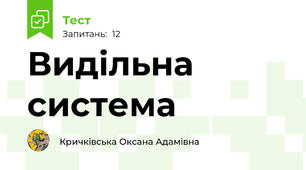 Видільна система