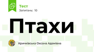 Птахи