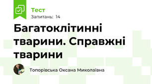 Багатоклітинні тварини. Справжні тварини 