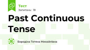  Past Continuous Tense