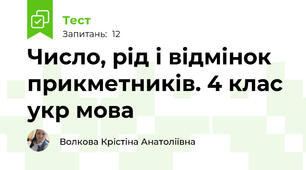 Число, рід і відмінок прикметників. 4 клас укр мова