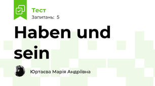 Haben und sein