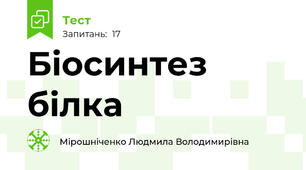 Біосинтез білка