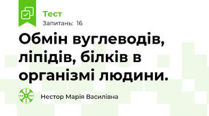 Обмін вуглеводів, ліпідів, білків в організмі людини. 