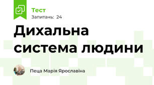 Дихальна система людини