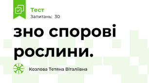 зно спорові рослини.