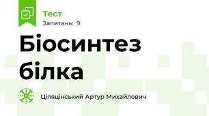 Біосинтез білка