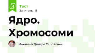Ядро. Хромосоми