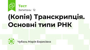 (Копія) Транскрипція. Основні типи РНК
