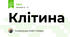 Клітина