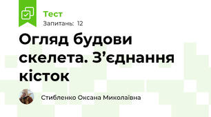 Огляд будови скелета. З’єднання кісток