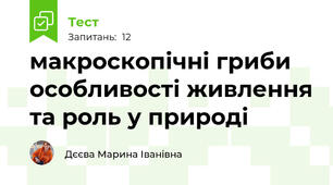 макроскопічні гриби особливості живлення та роль у природі