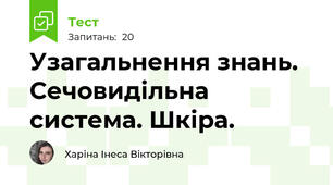 Узагальнення знань. Сечовидільна система. Шкіра.