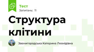 Структура клітини