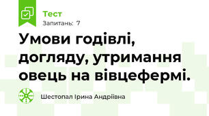 Умови годівлі, догляду, утримання овець на вівцефермі.