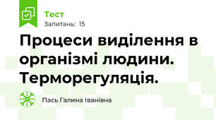 Процеси виділення в організмі людини. Терморегуляція.