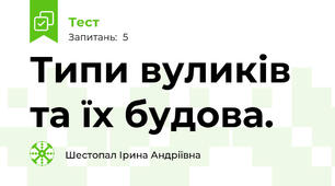 Типи вуликів та їх будова.