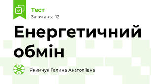Енергетичний обмін