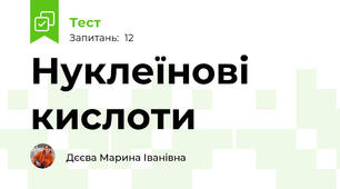 Нуклеїнові кислоти