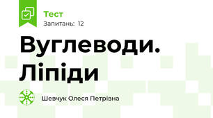 Вуглеводи. Ліпіди