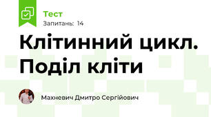 Клітинний цикл. Поділ кліти