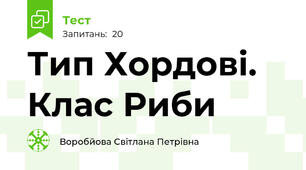 Тип Хордові. Клас Риби