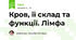 Кров, її склад та функції. Лімфа