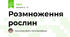 Розмноження рослин 