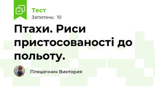 Птахи. Риси пристосованості до польоту.