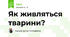 Як живляться тварини?