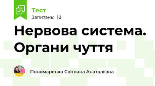 Нервова система. Органи чуття