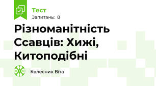 Різноманітність Ссавців: Хижі, Китоподібні