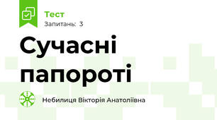 Сучасні папороті