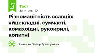 Різноманітність ссавців: яйцекладні, сумчасті, комахоїдні, рукокрилі, копитні